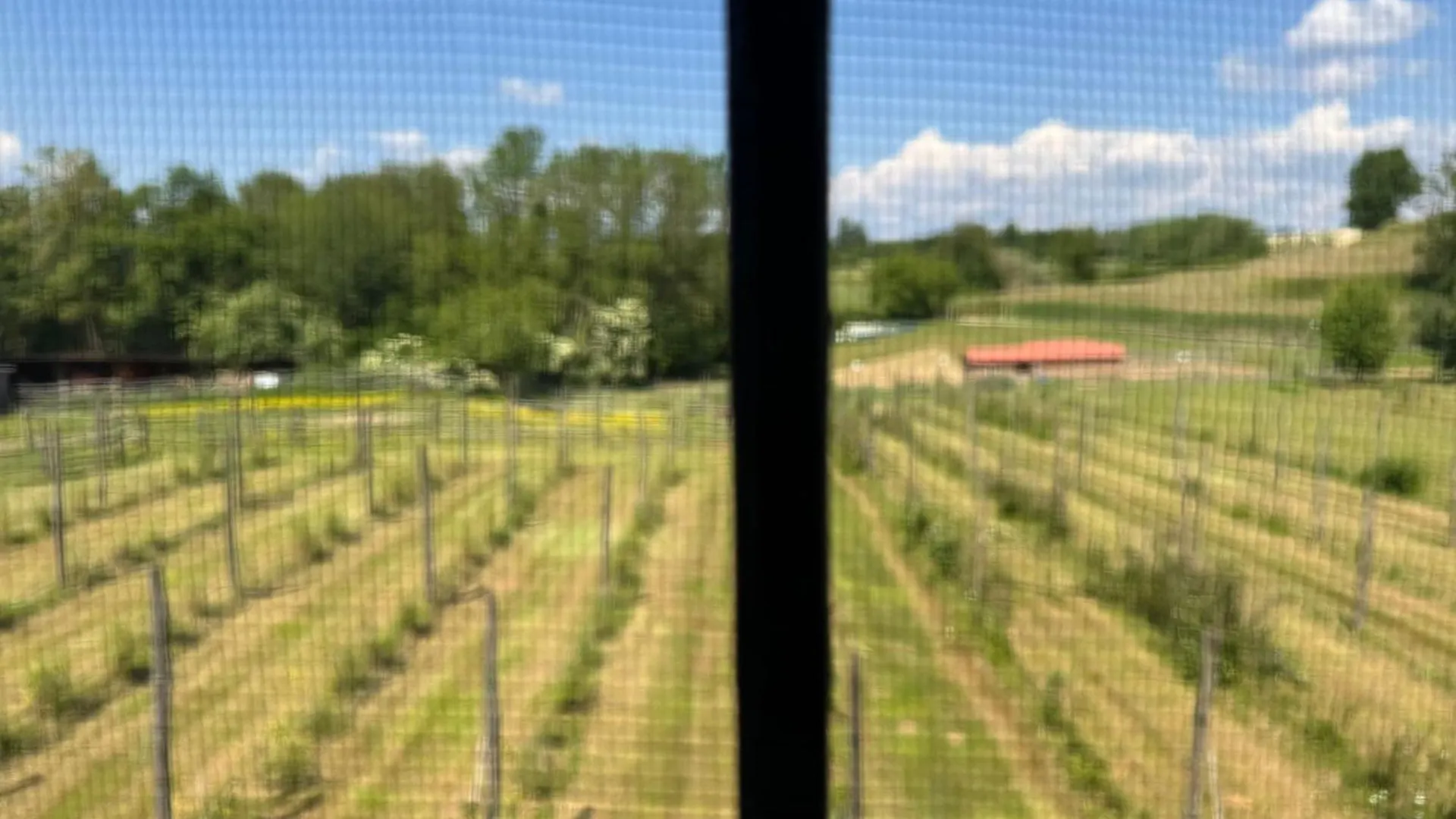 Κατάλυμα σε φάρμα Agriturismo Brusignone Besana in Brianza Ιταλία