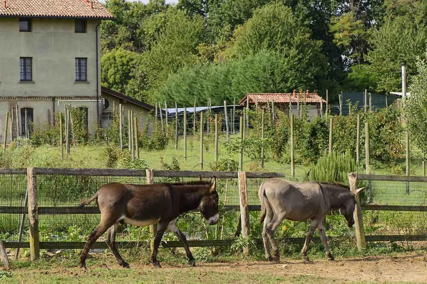 Agriturismo Brusignone Besana in Brianza